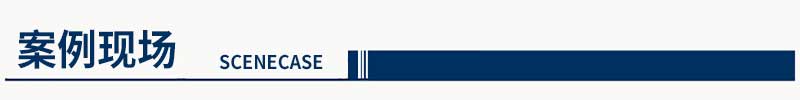 案例表頭